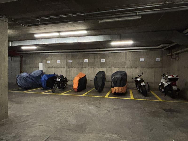 Lassen Sie Ihr Motorrad nicht im Regen stehen! (5)