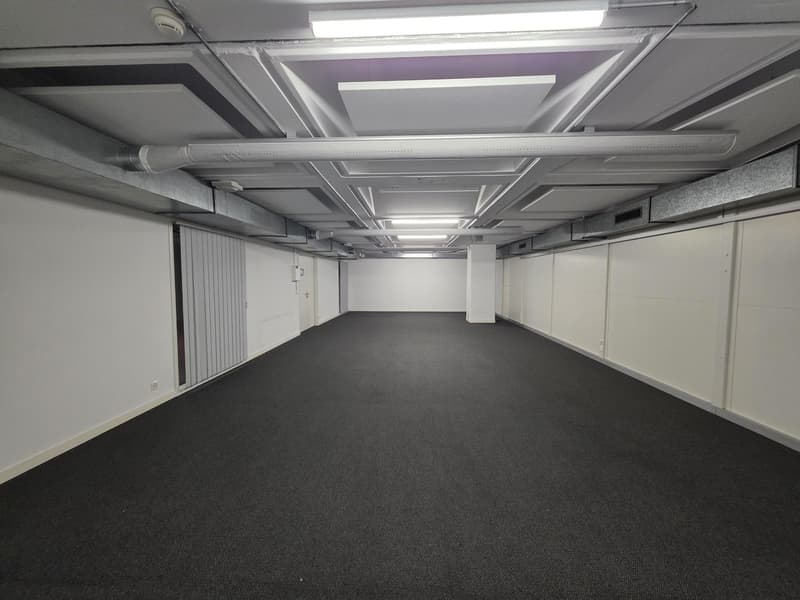 Local de dépôt de 90 m2 à Genève à louer (5)