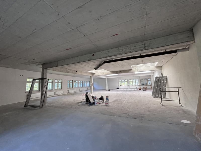 EG: Gewerbe-/Büro-/Verkaufsfläche ca. 84 m2 (A1) (10)