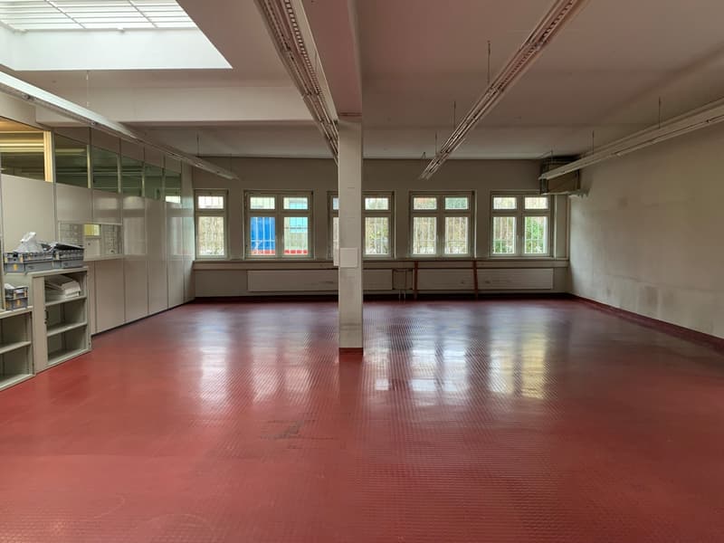 EG: Gewerbe-/Büro-/Verkaufsfläche ca. 84 m2 (A1) (2)