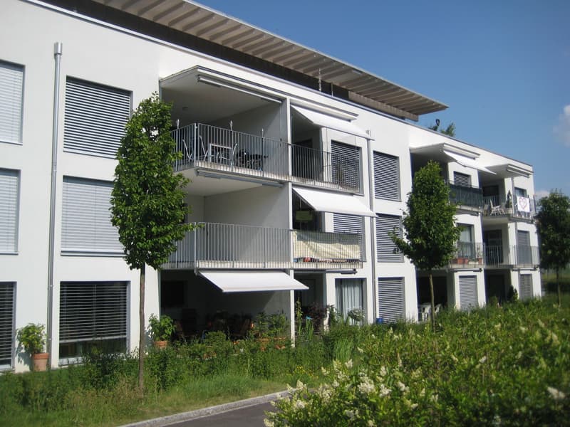 Moderne 2.5-Zimmer-Wohnung im Oberfeld! (1)