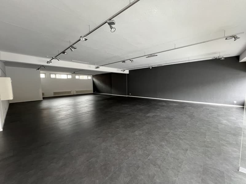 Spazio commerciale libero nel distretto 12 in affitto (1)