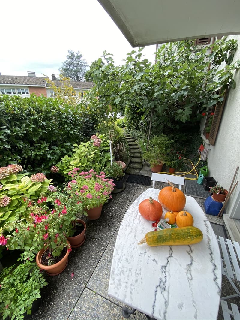 Attraktive 2.5 Zimmerwohnung mit Gartensitzplatz (4)