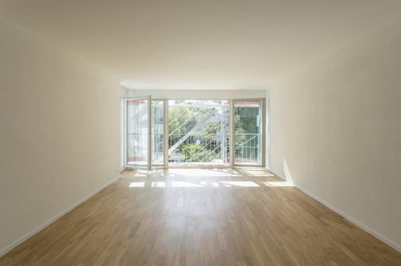 2.5-Zimmerwohnung in Albisrieden (4)