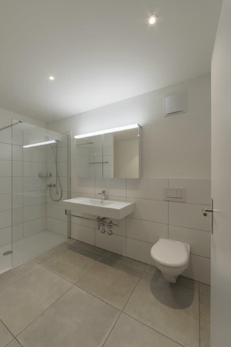 2.5-Zimmerwohnung in Albisrieden (5)
