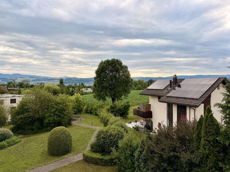 Attraktive 4.5-Zimmerwohnung in Uetikon am See (2)