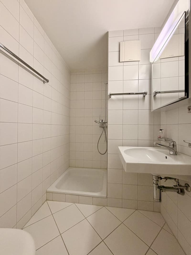 Attraktive 4.5-Zimmerwohnung in Uetikon am See (8)