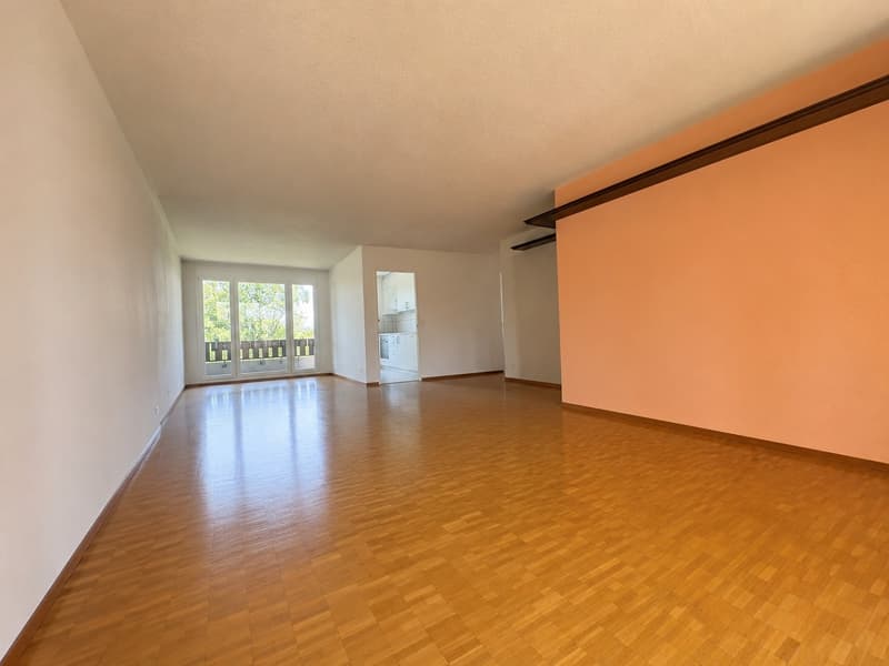 4.5-Zimmerwohnung am Stadtrand von Wallisellen (10)