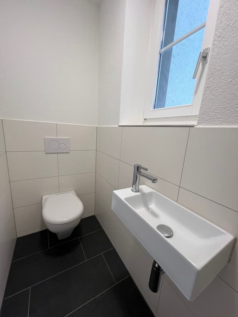 Zentral, urban, charmant  Wohnen im beliebten Zürcher Kreis 4 (7)