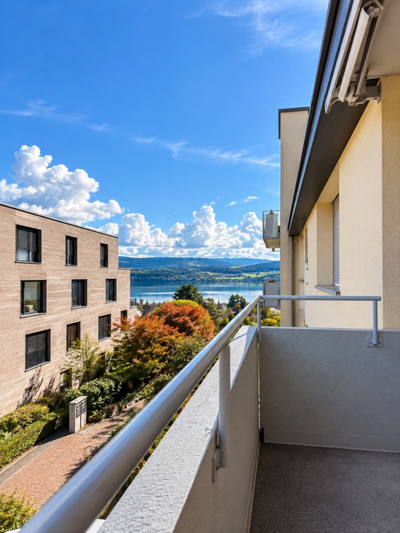3.5-Zimmer-Eigentumswohnung mit See- und Weitblick in Meilen (1)