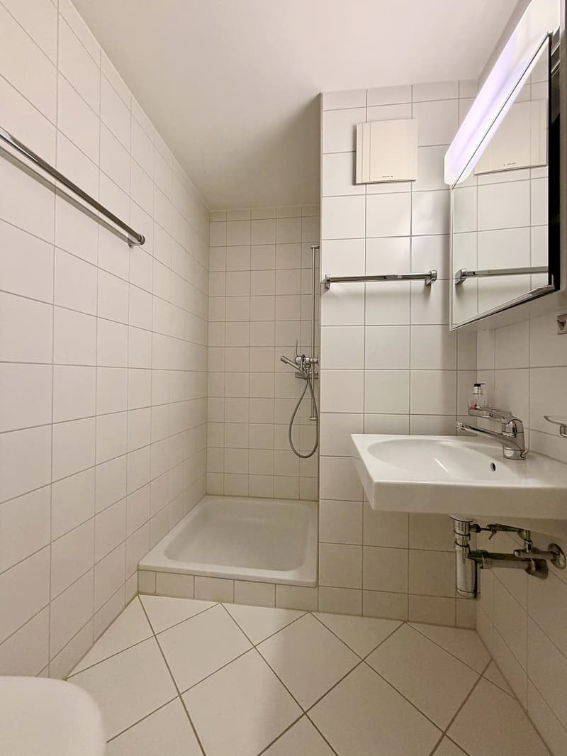 Attraktive 4.5-Zimmerwohnung in Uetikon am See (13)