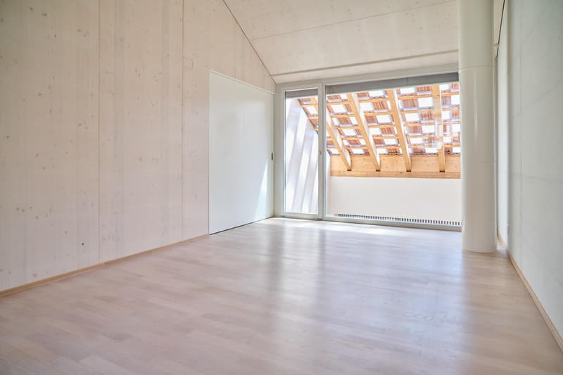 Spacious living stylish single-family home near the village of Allschwil (5)
