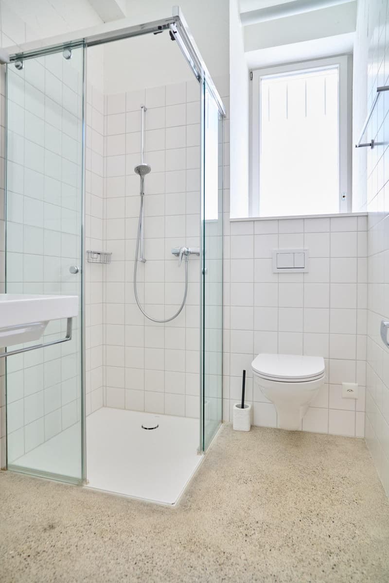 Spacious living stylish single-family home near the village of Allschwil (13)