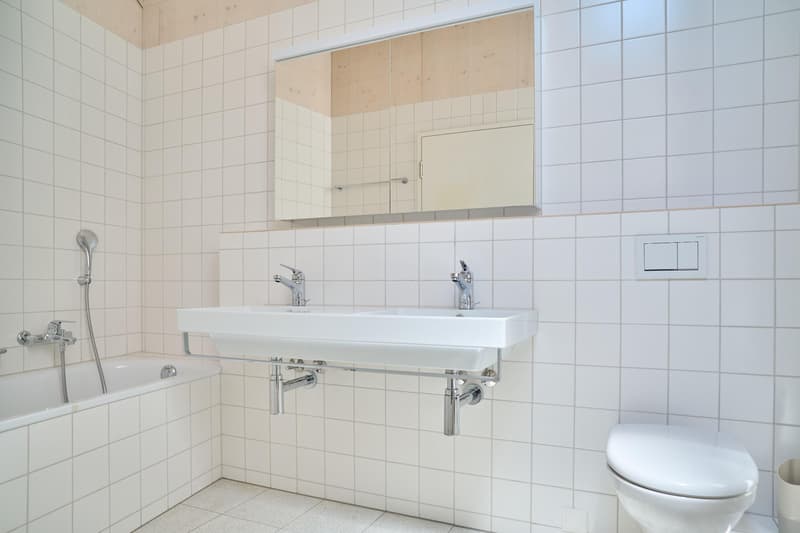 Spacious living stylish single-family home near the village of Allschwil (10)