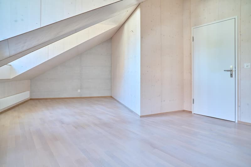 Spacious living stylish single-family home near the village of Allschwil (9)