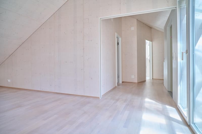 Spacious living stylish single-family home near the village of Allschwil (3)