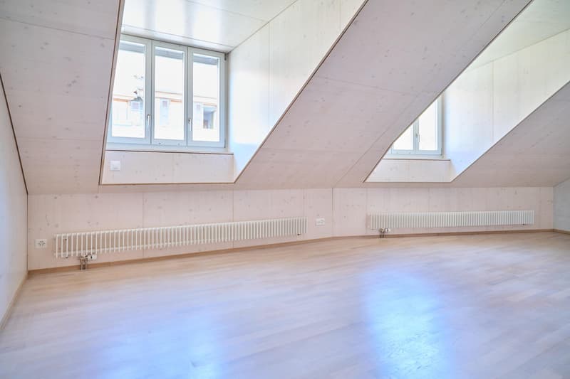 Spacious living stylish single-family home near the village of Allschwil (8)