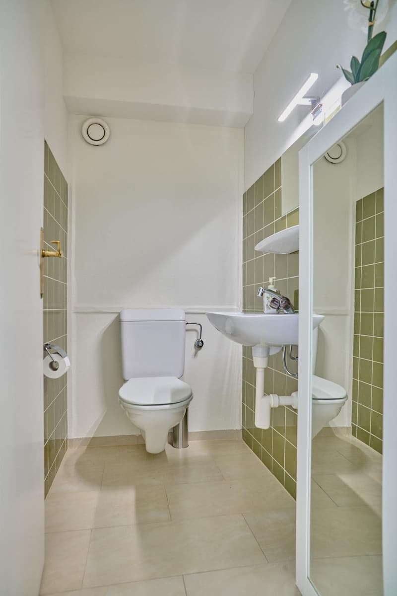 3.0 room apartment in Basel (8)
