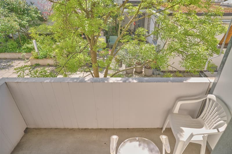 3.0 room apartment in Basel (9)