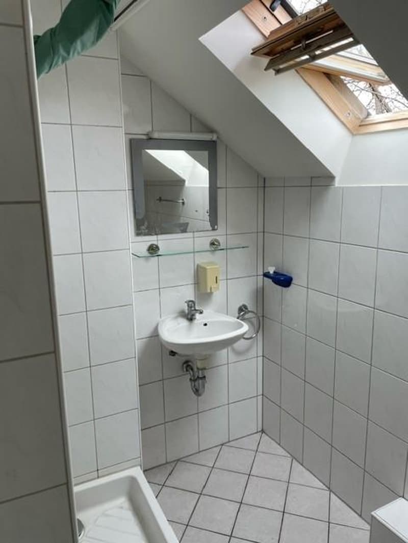 1.0 Bedroom Apartment in Basel (6)