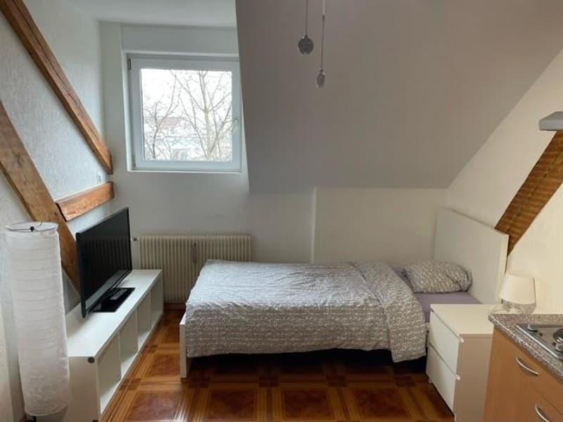 1.0 Bedroom Apartment in Basel (2)