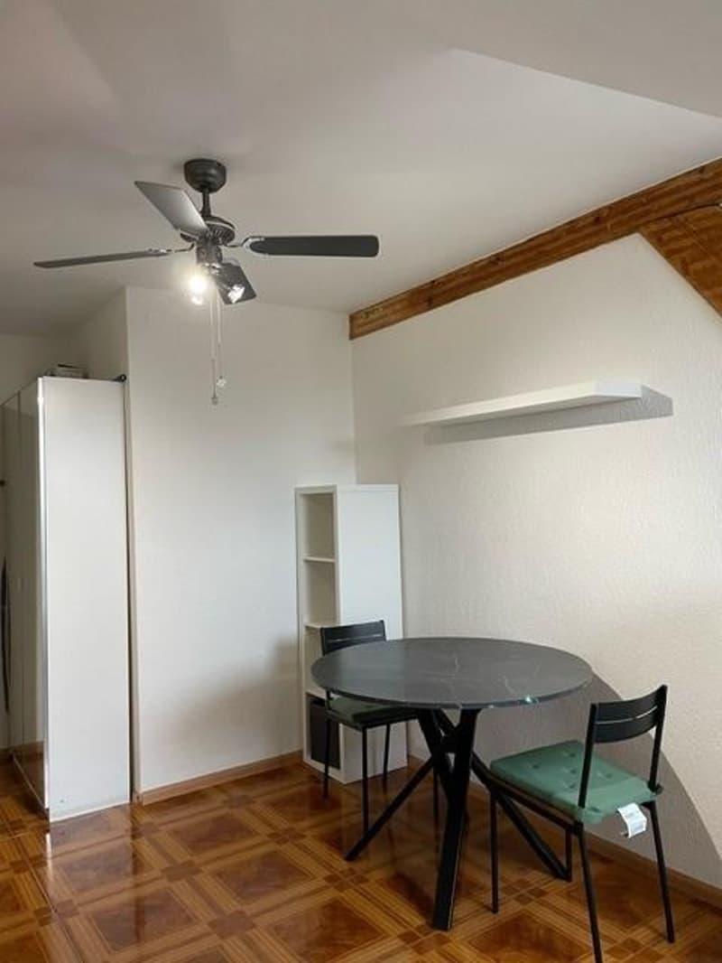 1.0 Bedroom Apartment in Basel (3)