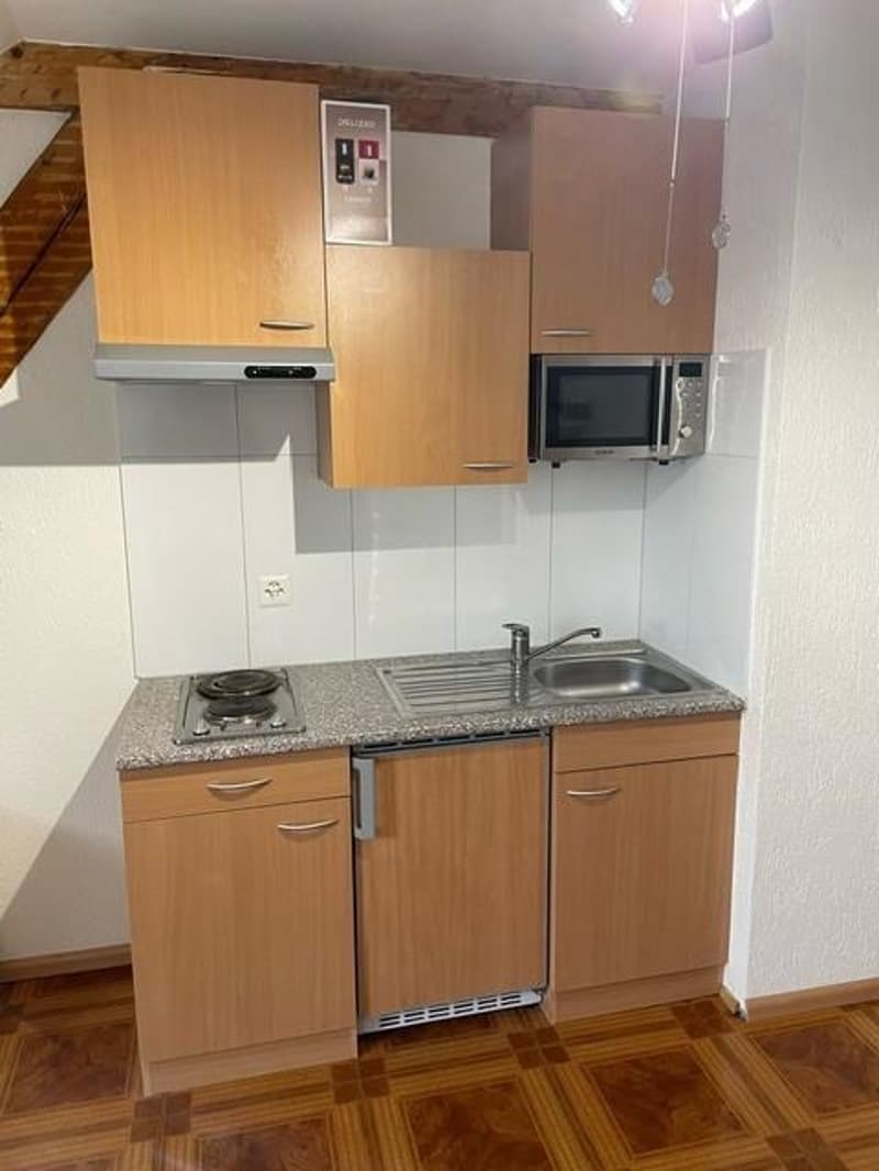 1.0 Bedroom Apartment in Basel (4)