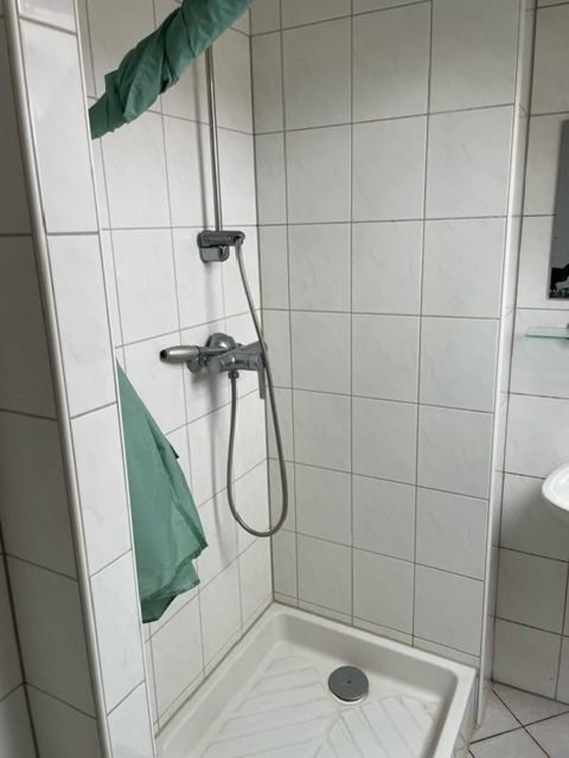 1.0 Bedroom Apartment in Basel (5)