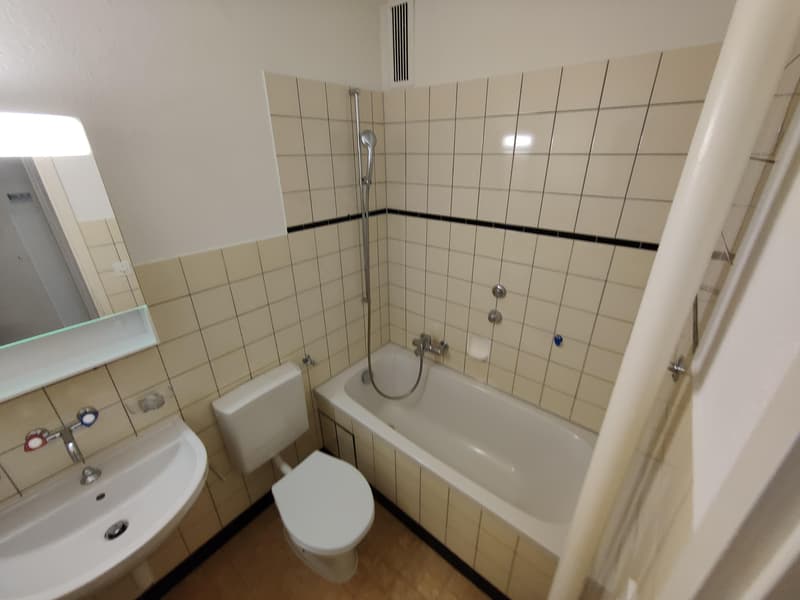 2.0 Zimmerwohnung in Basel (3)