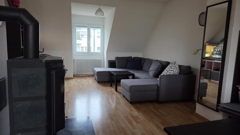 Charmante 3.0 Zimmerwohnung in Basel (2)