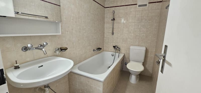 2.0 Zimmerwohnung in Birsfelden (3)