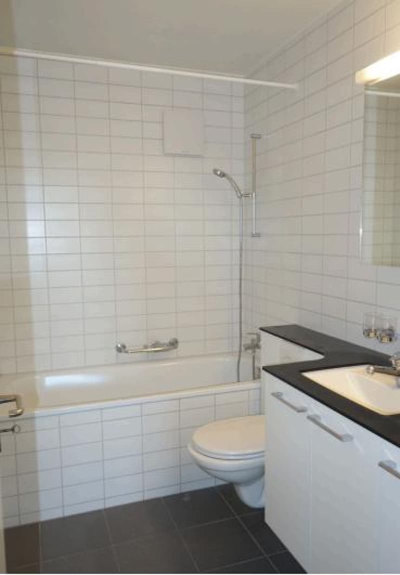 3.5 Zimmerwohnung im 7.OG in Birsfelden (7)