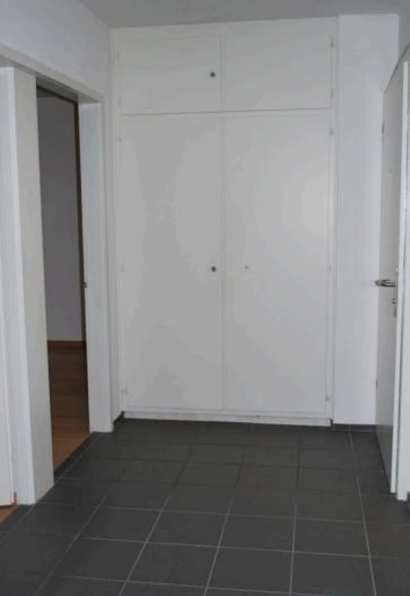 3.5 Zimmerwohnung im 7.OG in Birsfelden (5)