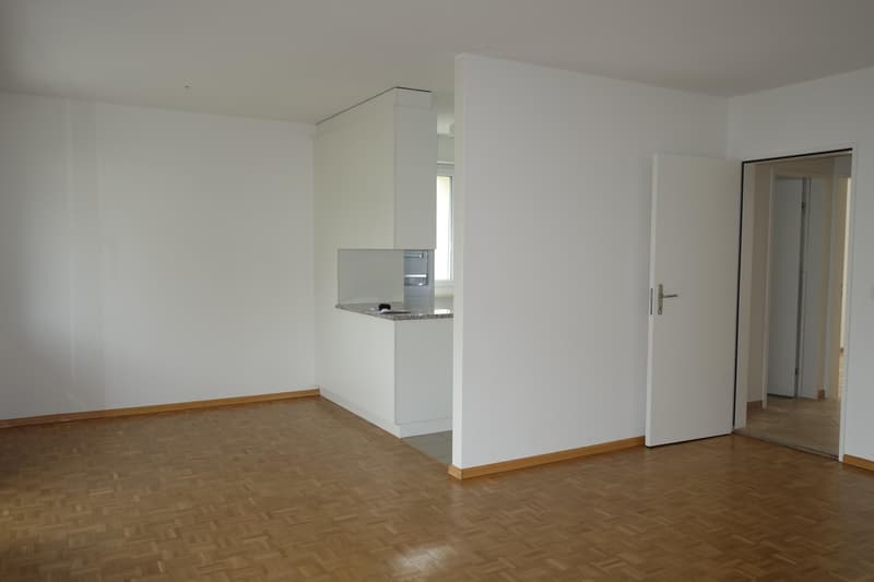 4.5 Zimmerwohnung in Reinach BL (5)