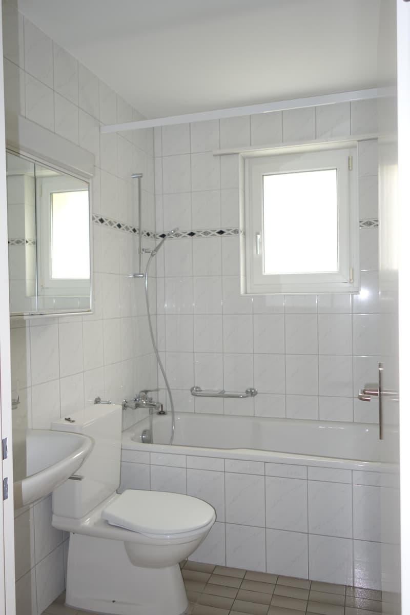 4.5 Zimmerwohnung in Reinach BL (4)