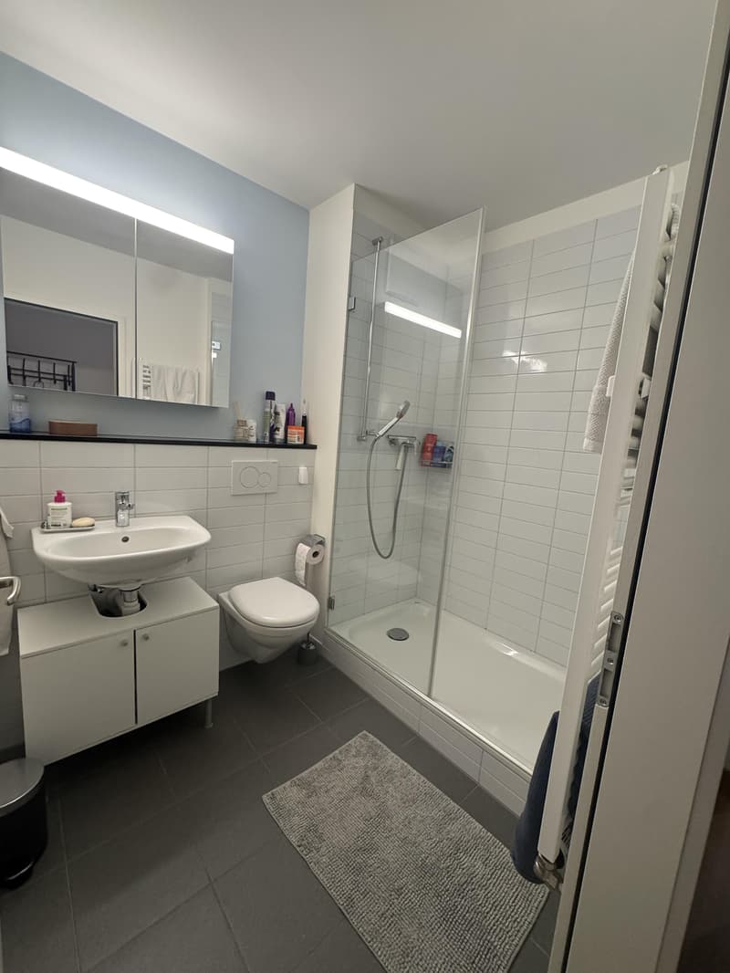 3.0 Zimmerwohnung in Basel (7)
