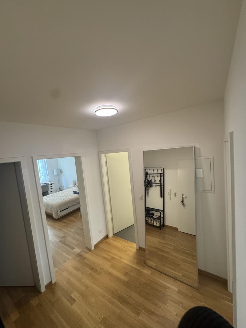 3.0 Zimmerwohnung in Basel (8)