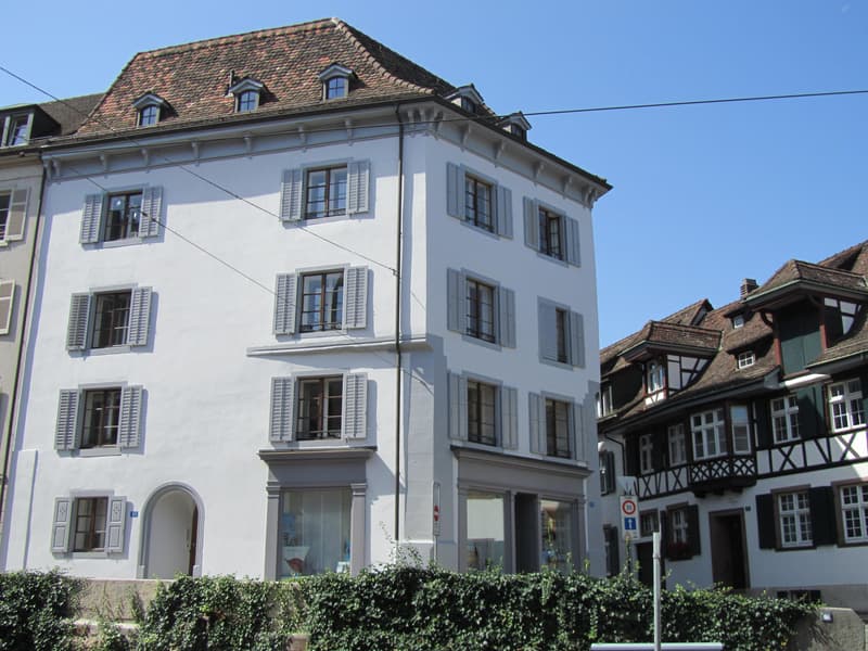 4.0 Zimmerwohnung in Basel (1)