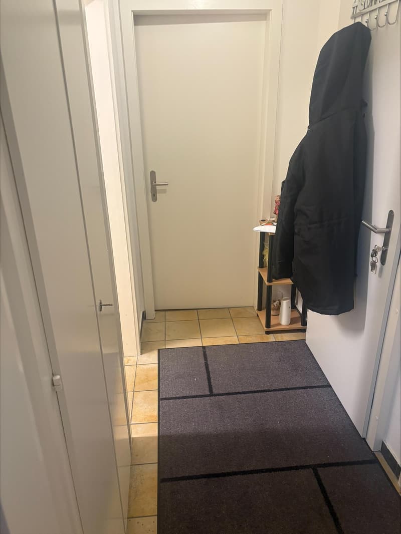 2.0 Zimmerwohnung in Basel (1)