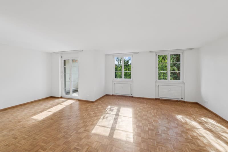 3.5 Zimmerwohnung in Schönenbuch (3)