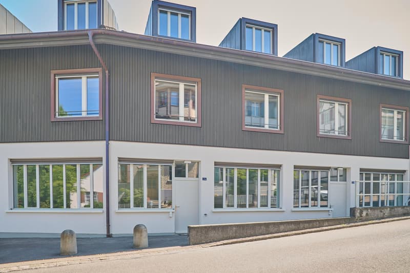 Viel Raum zum Leben. Stilvolles Einfamilienhaus in Dorfnähe Allschwil (13)