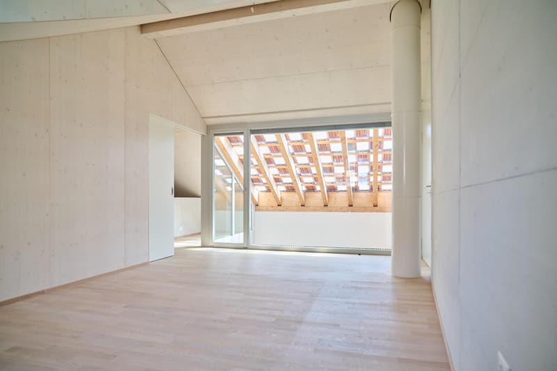 Viel Raum zum Leben. Stilvolles Einfamilienhaus in Dorfnähe Allschwil (6)