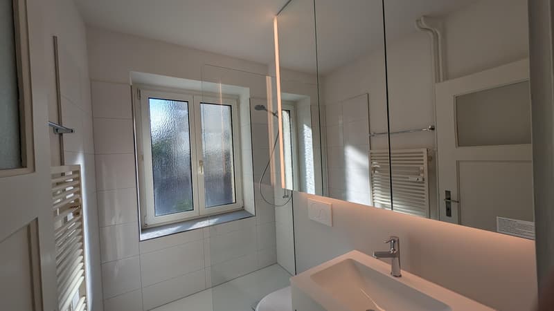 Zentrale 2-Zimmerwohnung in Basel (7)
