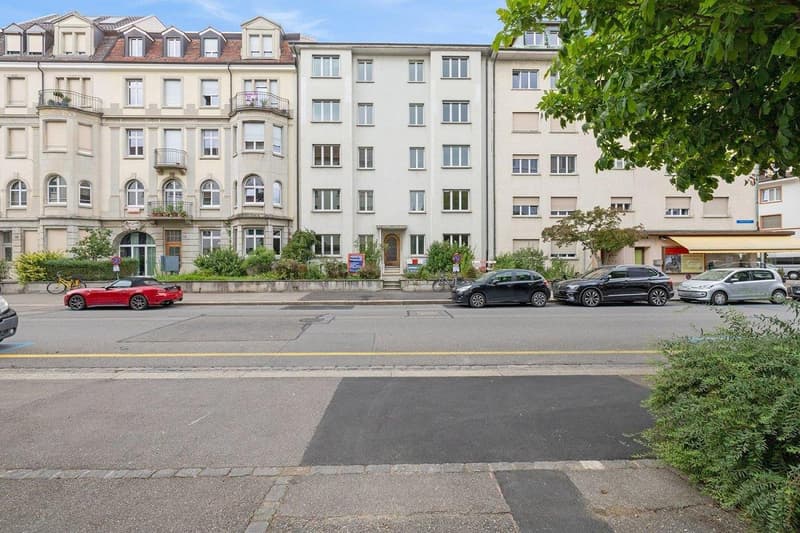 Zentrale 2-Zimmerwohnung in Basel (1)