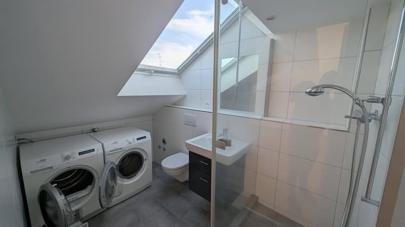 Wohnen über den Dächern  Stilvolle Loftwohnung mit grosser Dachterrasse! (9)