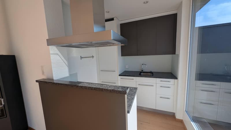 Wohnen über den Dächern  Stilvolle Loftwohnung mit grosser Dachterrasse! (6)