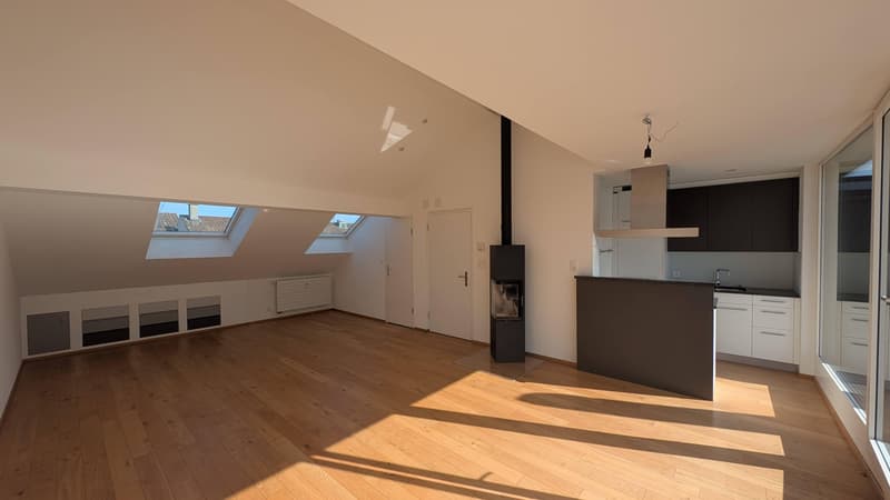 Wohnen über den Dächern  Stilvolle Loftwohnung mit grosser Dachterrasse! (4)