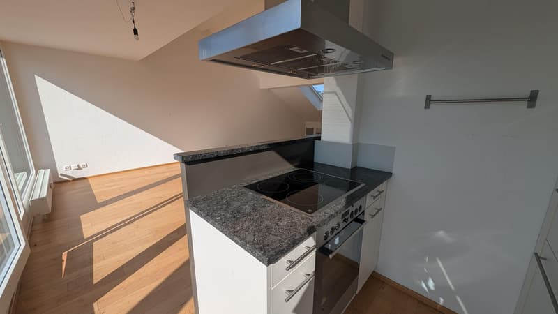 Wohnen über den Dächern  Stilvolle Loftwohnung mit grosser Dachterrasse! (7)