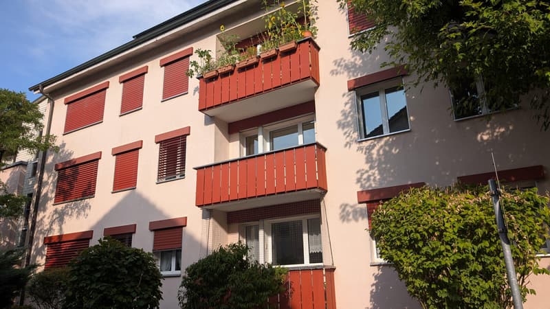 Ihr neues Zuhause in Riehen hell, ruhig und sofort bezugsbereit (8)