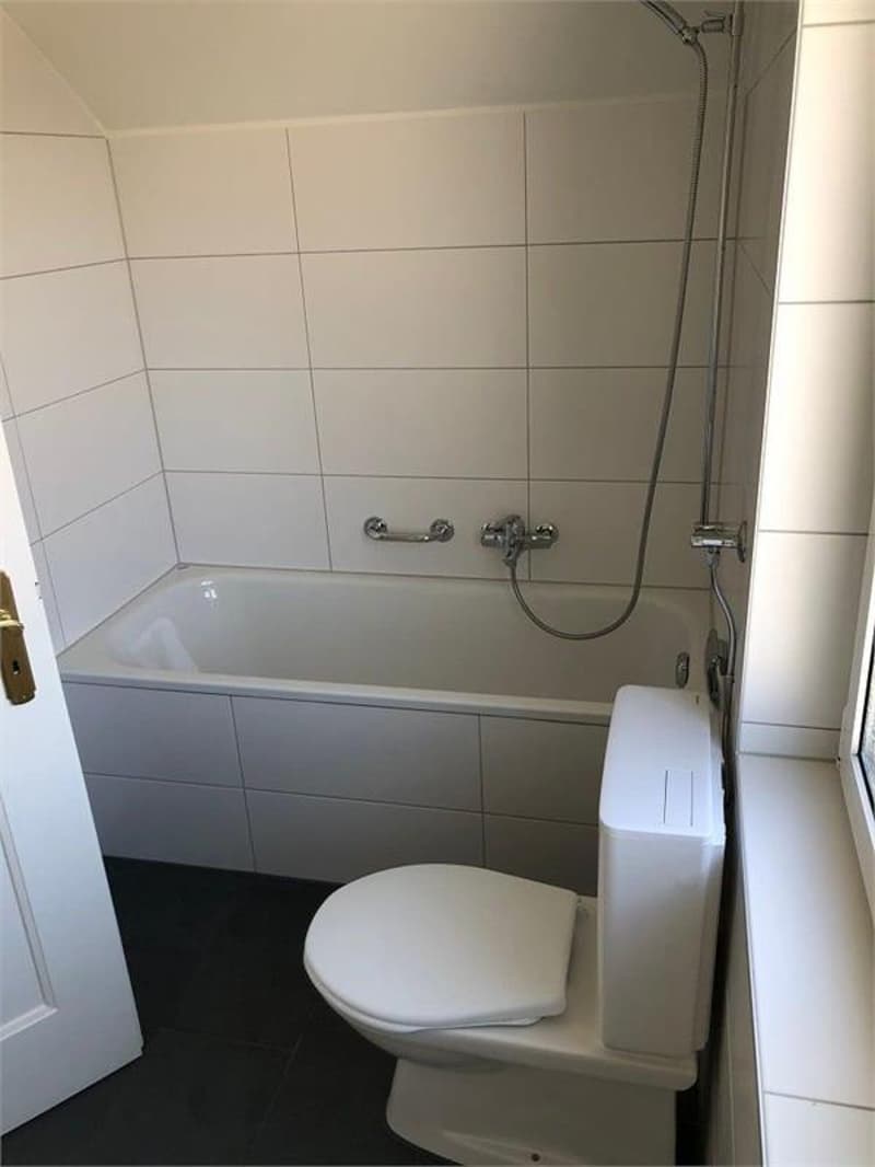 Einfamilienhaus mit Umschwung in Augst BL (7)